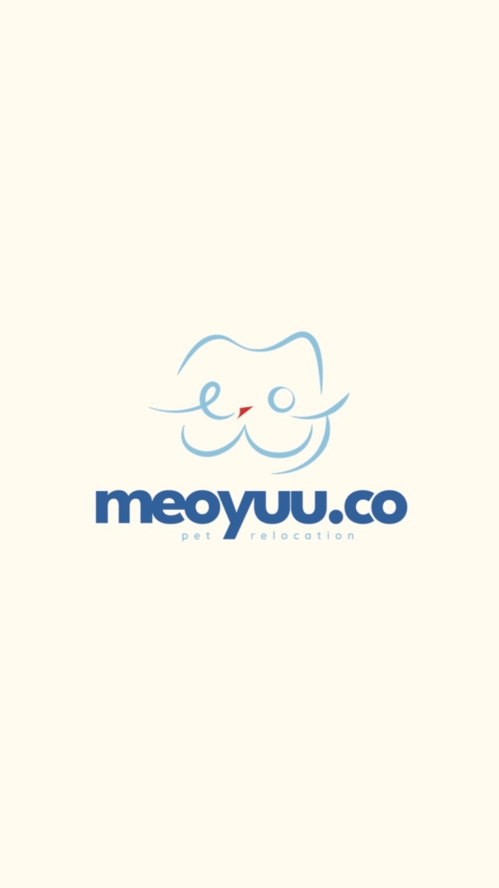 Meoyuu.co : แมวนำเข้าต่างประเทศ