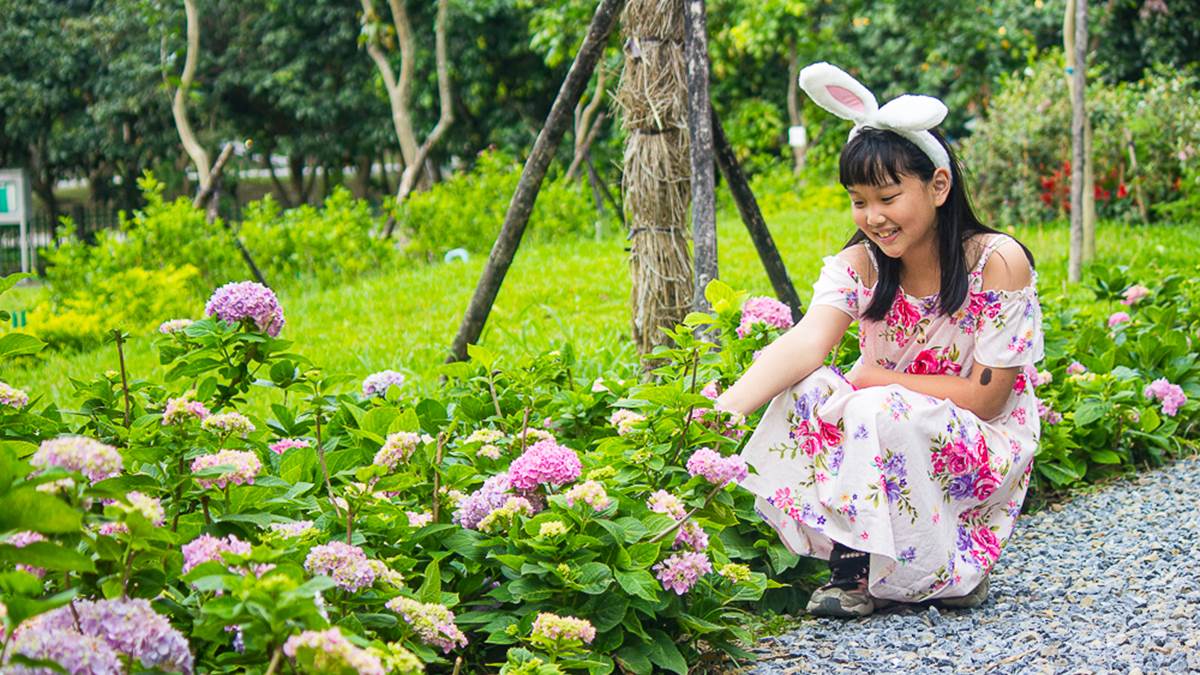 連新北人都不知道！樹林８處免費景點：巨型飛碟公園、愛心池塘、繡球花祕境