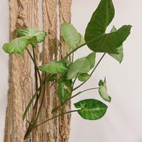 手作交流x環保♻️-大台北地區