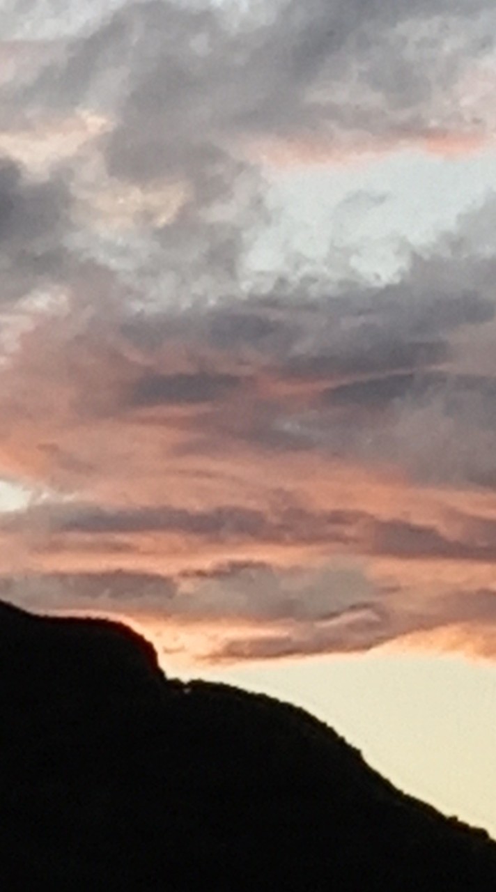 宋家手工冷凍水餃（50年）