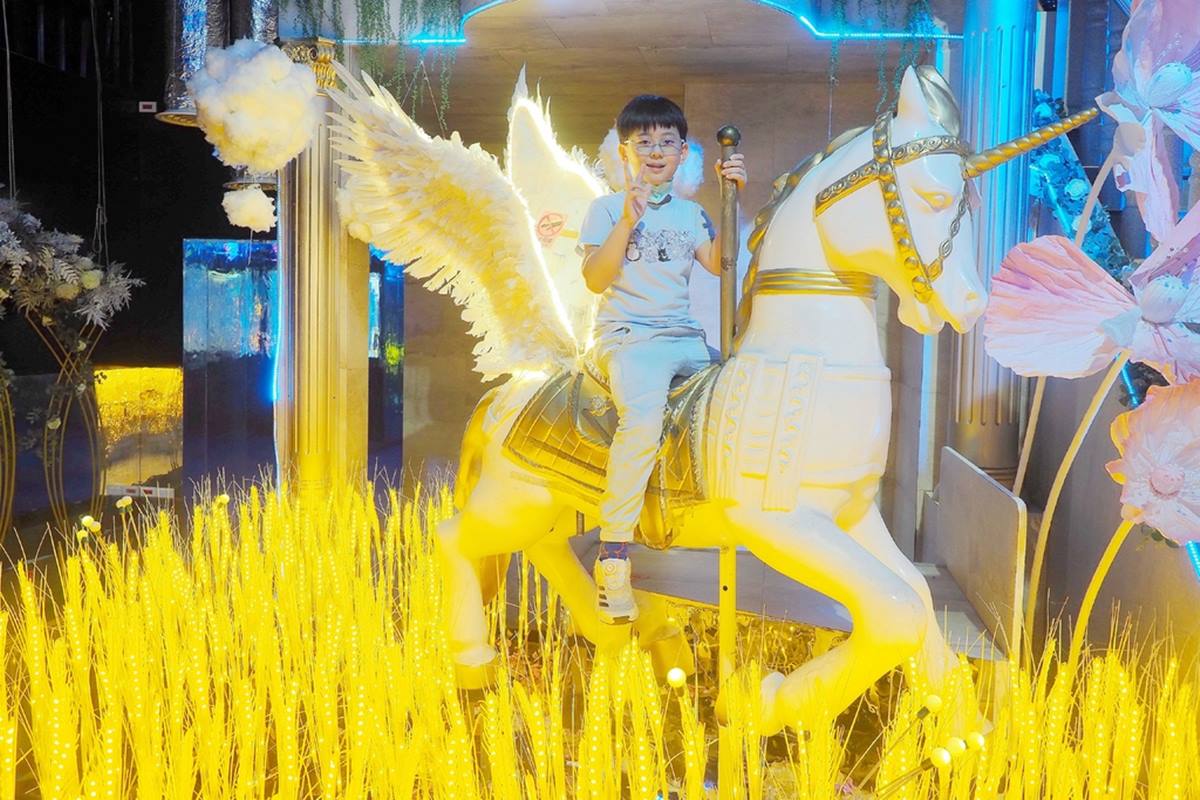 走進迪士尼！洗版IG「眾神祕密花園」１票暢玩２館，打卡水母光廊、冰晶城堡