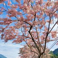 台中廣擎天、吃貨、交友、分享聊聊群