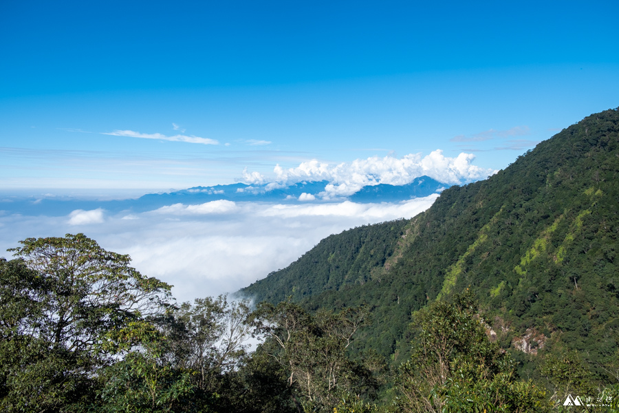 山女孩MelissaxMao冒險生活_水社大山_日月潭登山_路線分享-49.JPG