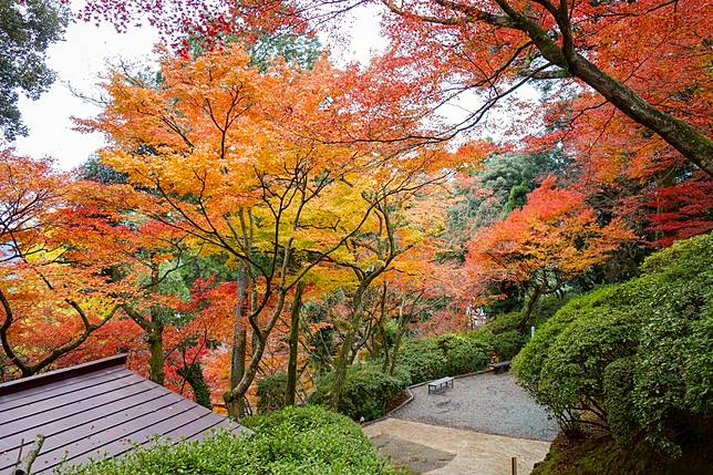 佐賀縣 北九州正夯 晚秋時節前往的旅行魅力 旅色 Line Today