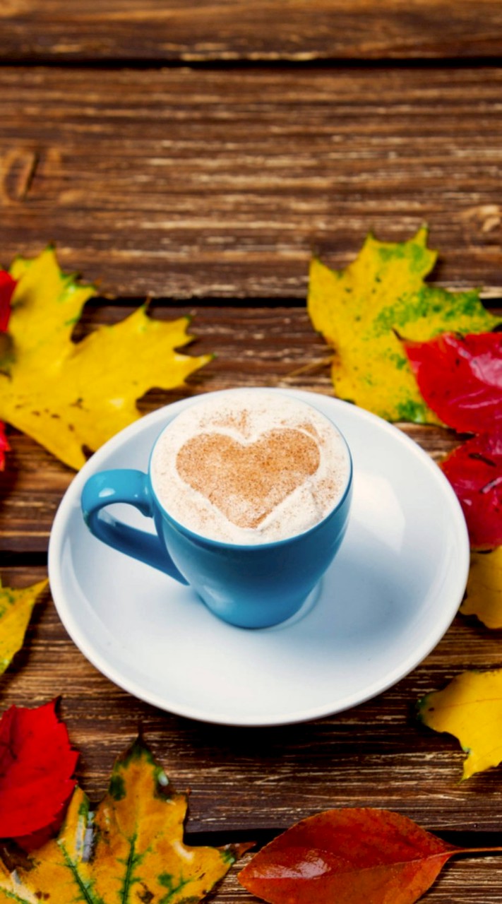 真面目にしりとり遊び～✅