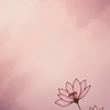 カタオモイ ＊ 全緩夢ハント