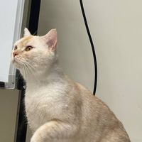 熙熙拉布🦦