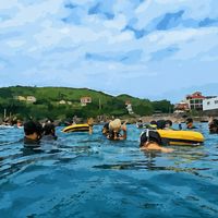 Piece of Dive自由潛水找潛伴、導潛