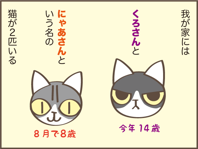 ギャー また踏んじゃったじゃない 我が家の猫のコロコロの 落とし物 しまえもん