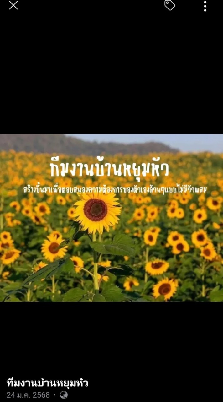 กะหรี่นครบาล🌴