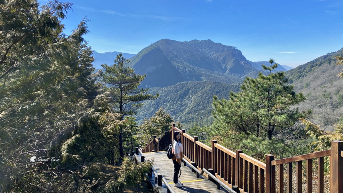 避暑祕境快收藏！苗栗６條免門票「私房步道」：羽量級小百岳、美國大峽谷