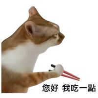 歡迎視吃