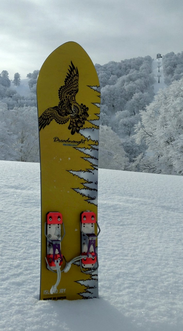 モノスキー@フリーライドミーティング