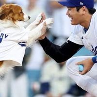 大谷翔平が大好き♡