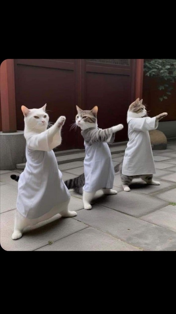 สามซ๋าวสุดแส่บ