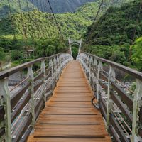 小海豚旅遊交流