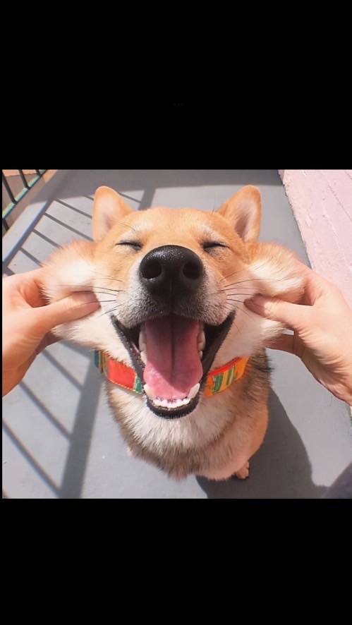 大學錢沒了 團gogo🤡🤡🤡