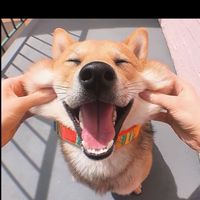 大學錢沒了 團gogo🤡🤡🤡