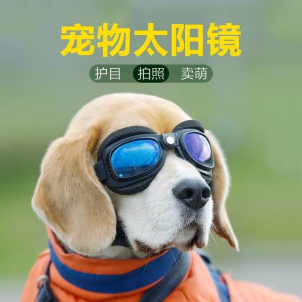 一件免運，外島可送，可開發票，有疑問可在問與答提問客服哦(*￣︶￣)