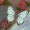 ✂️依存之執事🩹あくねこ夢 依存なりきり