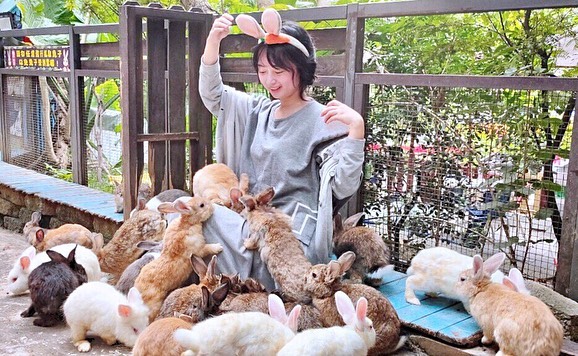 休閒農場推薦 今夜星辰休閒農場