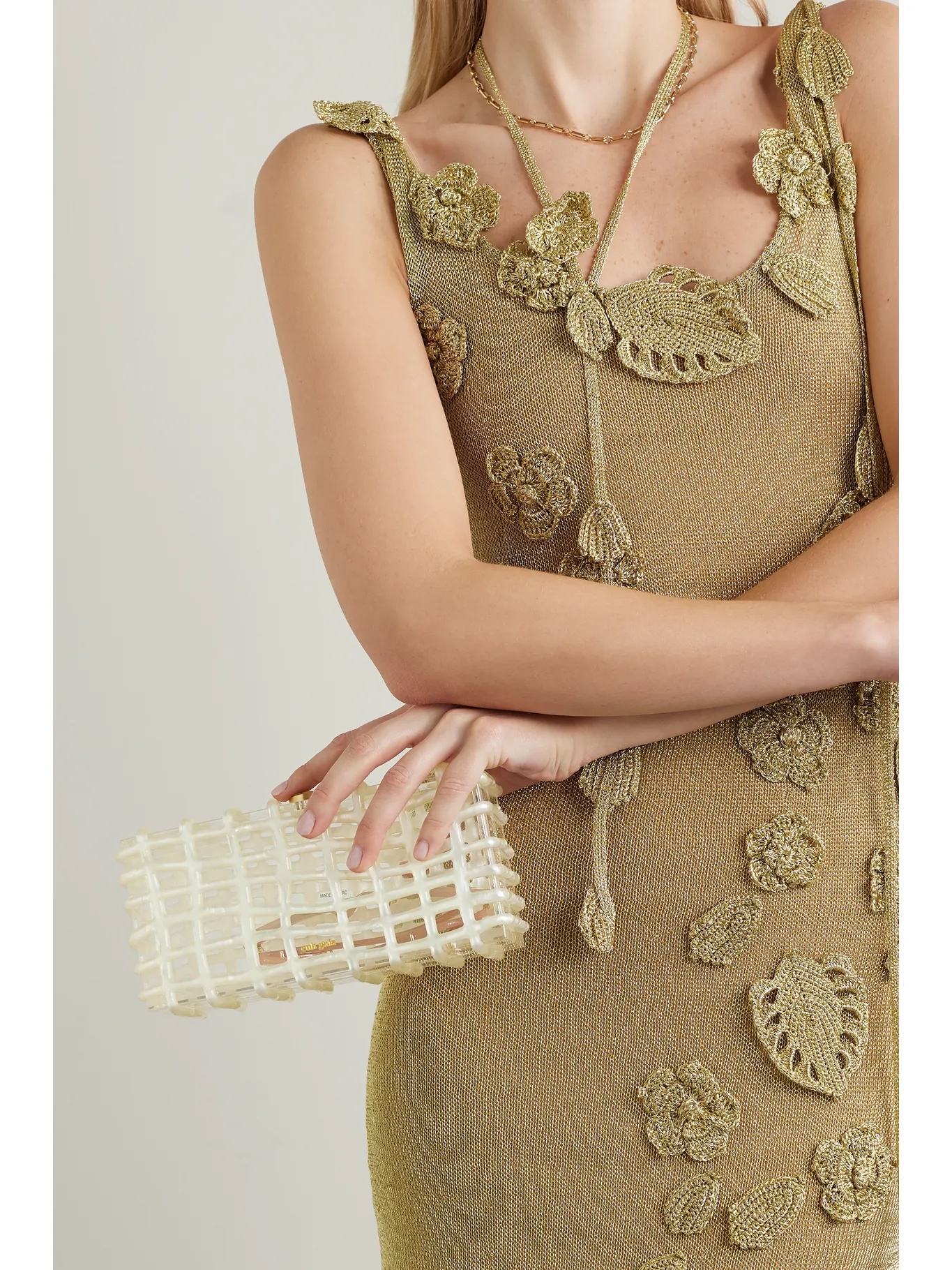 CULT GAIA Rina acrylic clutch