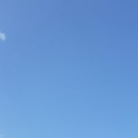 社内作業動画用です