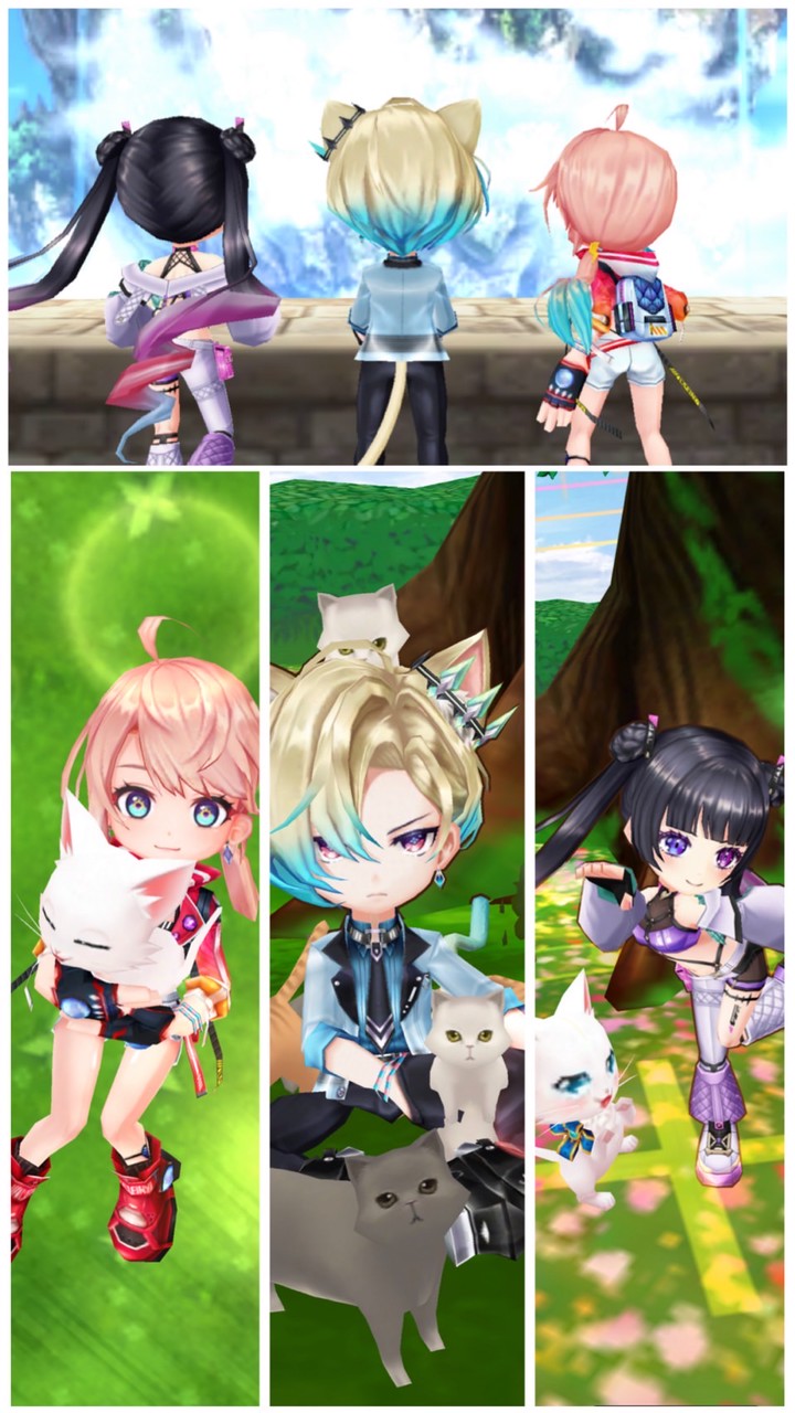 白猫プロジェクト全力で楽しみ隊！