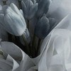 3次元 壁打ち : 自由奔放