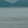 日文小譯者讀書會
