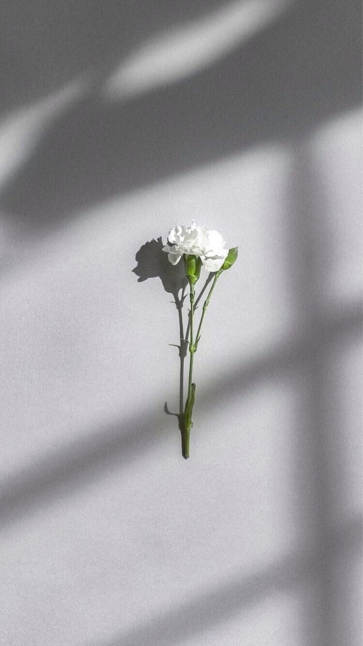 來聊天吧