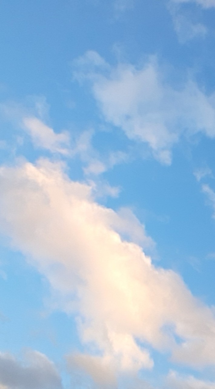 仲良く雑談しよう!