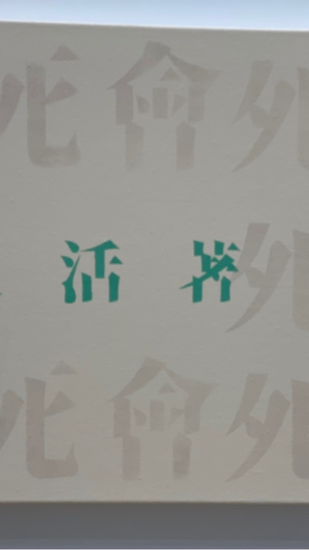木樹洞🪵