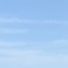 ワイワイ喧嘩場