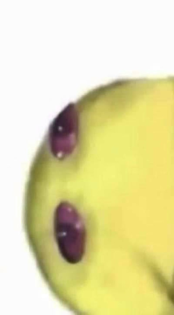 6/2(2565)