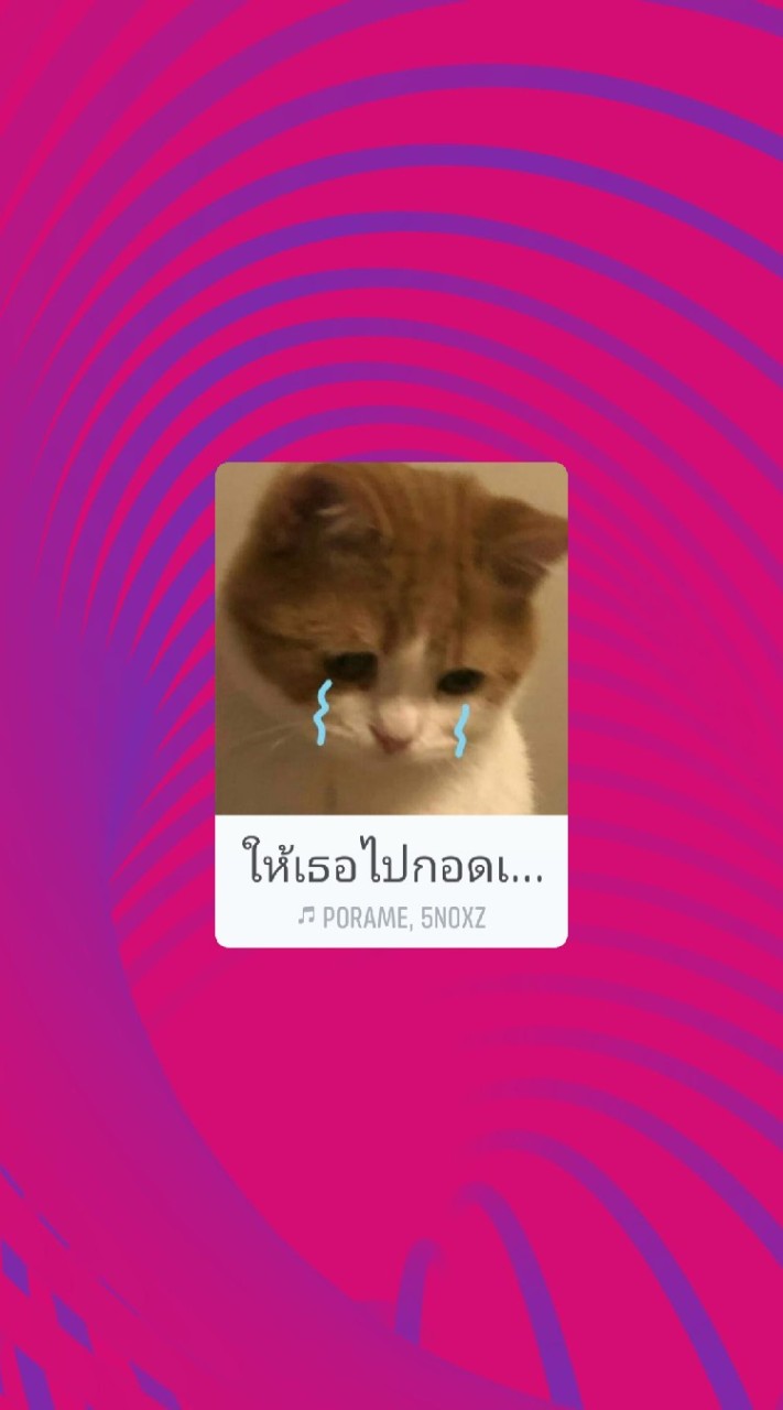 มนทกานต์(วาวา)
