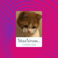 มนทกานต์(วาวา)