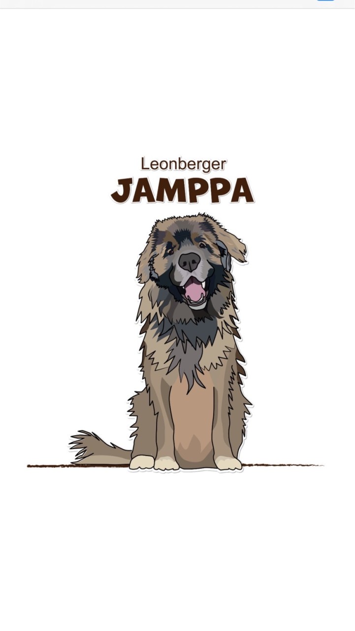Team Jamppa Anytime