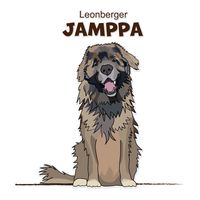Team Jamppa Anytime