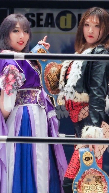 UFC WWE愛好者