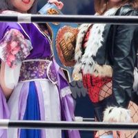 UFC WWE愛好者