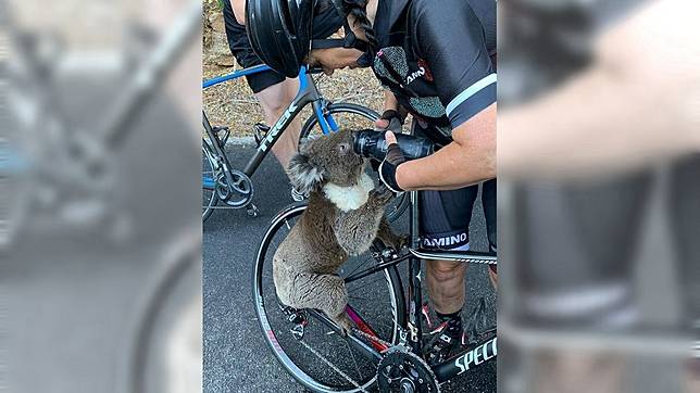 圖／翻攝bikebug2019 instagram