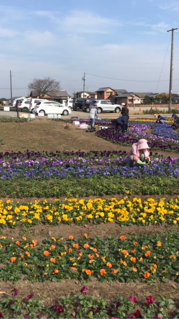 斎王の庭　お花守（はなもり〕の会（国指定史跡斎宮跡の公有地に作庭されるお花畑に関する情報共有）
