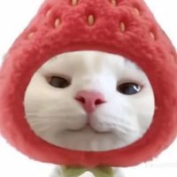 ชวนคุยเล่น