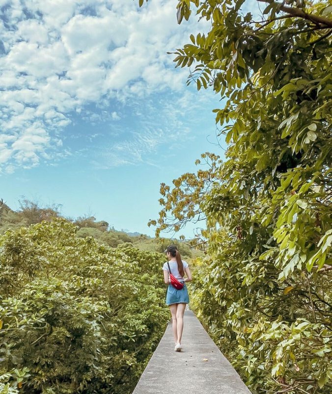 高雄柴山步道,高雄景點,高雄步道,柴山步道