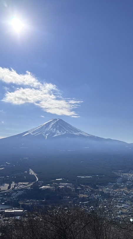沐陽特護派案群