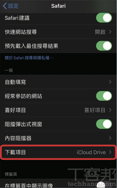 5.點入「下載項目」的選項。