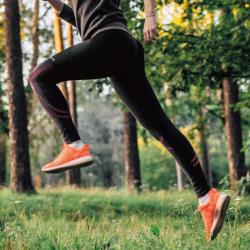 束健 運動壓縮長褲-女款(膝蓋與小腿穩固) 機能褲/運動褲/壓力褲