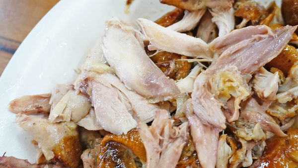 【南投美食】清境阿東窯仔雞-充滿炭香味的超級脆皮烤雞