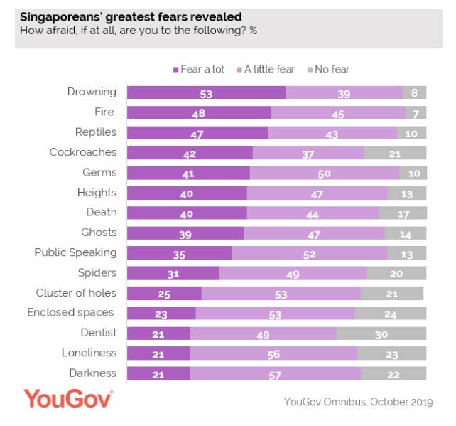 Ranked Singaporeans Greatest Fears Revealed